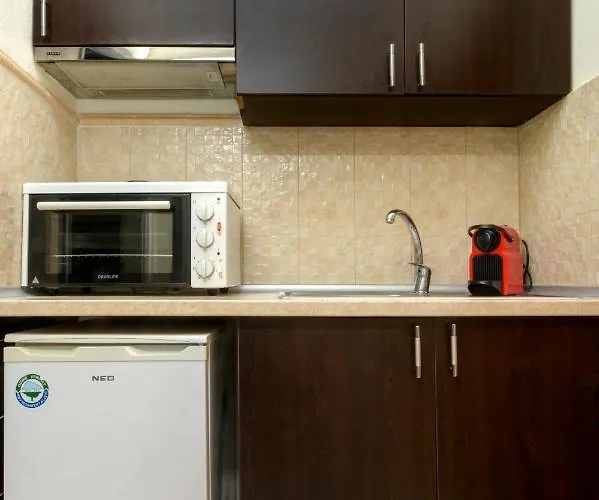 泽尔瑞克斯一室公寓